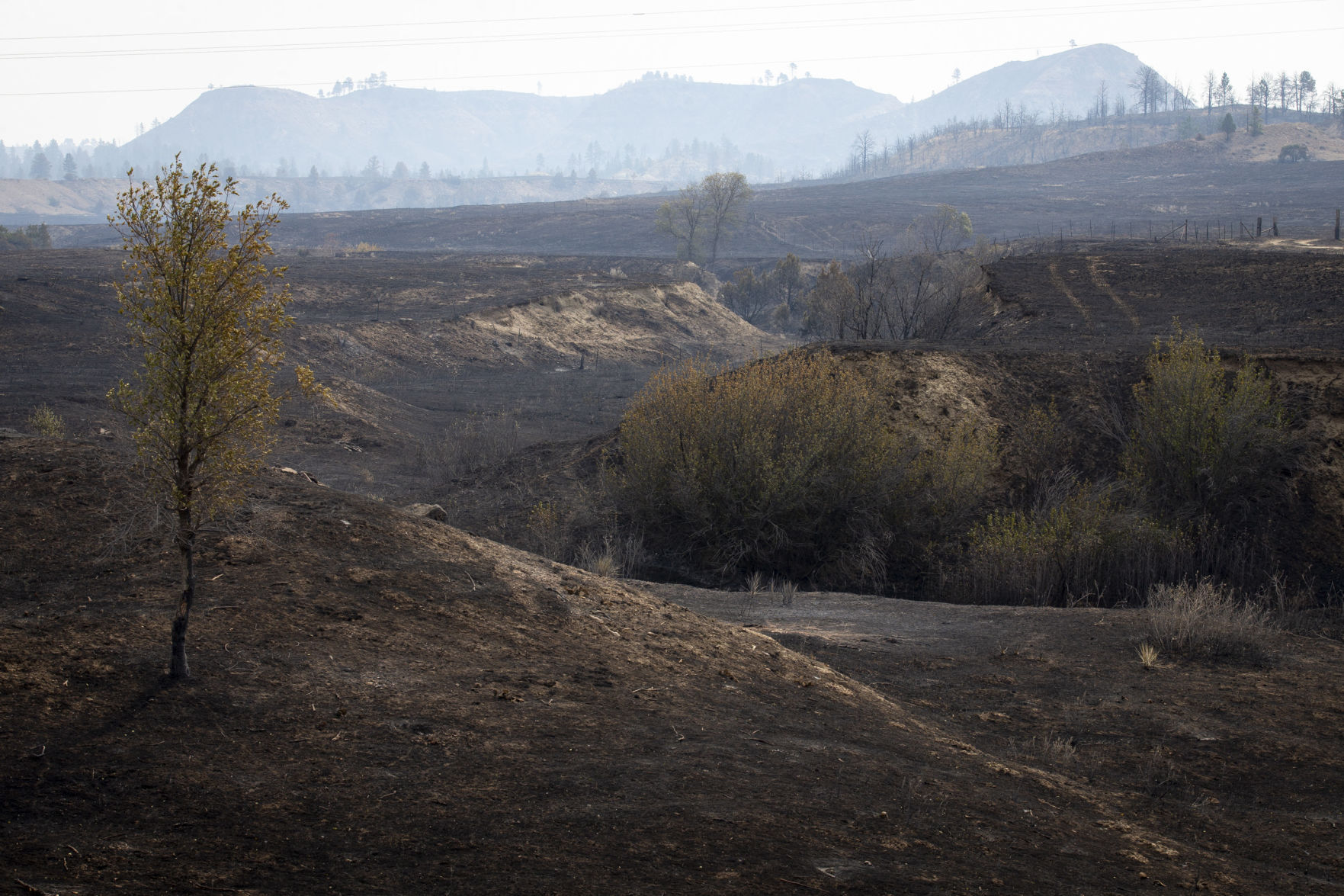 Snider fire